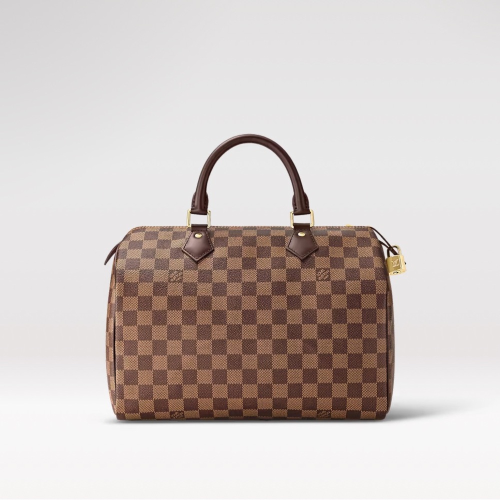 Louis Vuitton Speedy 30 Damier Ebene